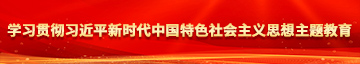 插肥骚逼逼学习贯彻习近平新时代中国特色社会主义思想主题教育